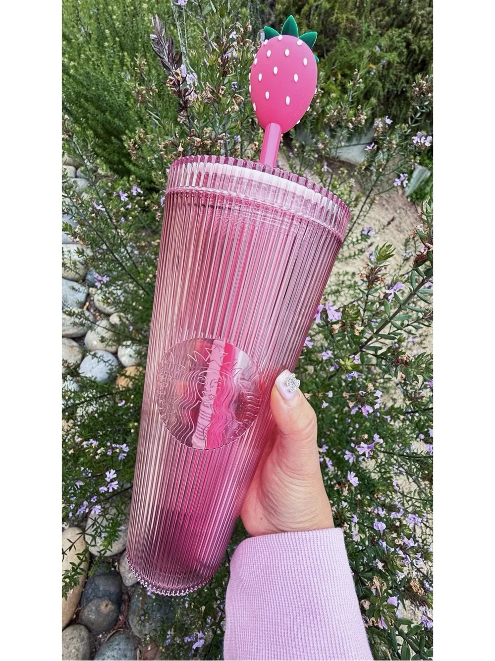STARBUCKS Strawberry 🍓 Cold Cup
